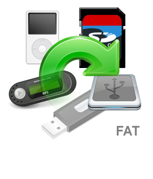 Зростання розмірів дисків і потреб операційних систем привів в даний час до того, що FAT все більш витісняються файловими системами, що надають великі можливості (наприклад: NTFS, ext3)