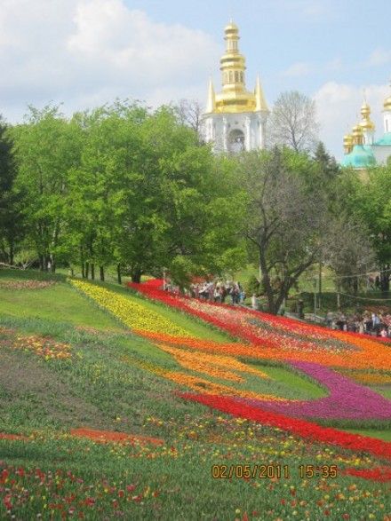 У парку будуть представлені різні за часом цвітіння сорти тюльпанів, щоб відвідувачі могли довше помилуватися квітами