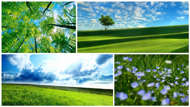 До оли людина бачить поєднання блакитного і зеленого, в підсвідомості виникає краса блакитного неба і зеленої трави